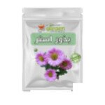 بذور استر