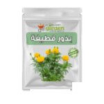 بذور قطيفة