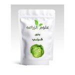 بذور كرنب - 5جم