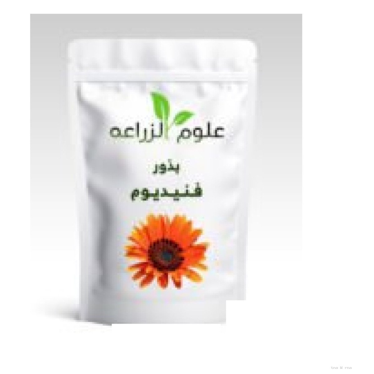 Seeds 7 g