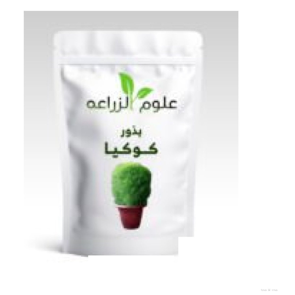 Seeds 5 g