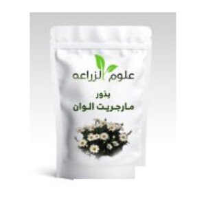 بذور مارجريت 10 جم