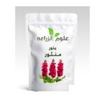 بذور منثور 7جم