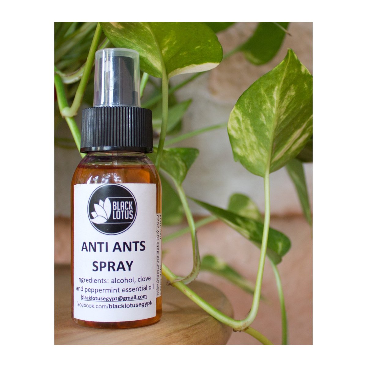 Anti-Ants Spray