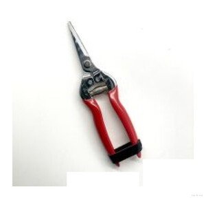Needle Nose Pruning Shears