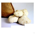Ostrich Egg Pebbles