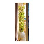 Vertical Hydroponic Tower (30 Holes, Tank + Pump)