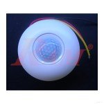 TDL9958 PIR Motion Sensor Light Switch 220Vac