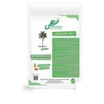 بذور نخيل ملوكي (Roystonea regia) نخيل ملوكي