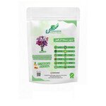 بذور بسلة الزهور (Sweet Pea Seeds)