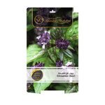 ريحان قرفة Cinnamon Basil