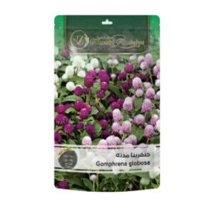 زهور الجمفرينا Gomphrena